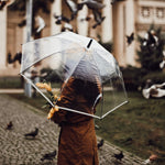 G4Free - G4Free 62 Inch Clear Golf Umbrella Transparent Auto Open Large Stick Umbrella -D02V733A-D02V723A