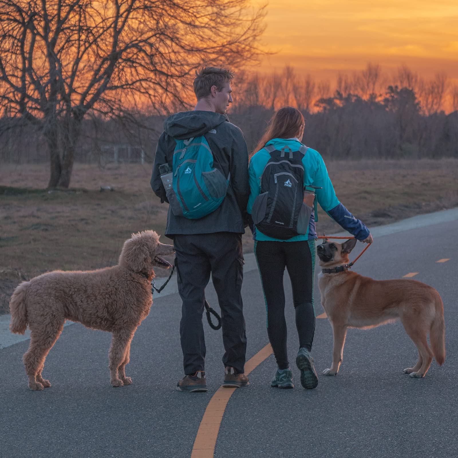 G4Free - G4Free Hiking Daypack Water Resistant Lightweight Packable Backpack -TN22B133A-TN22B133D-TN22B133B-TN22B133C